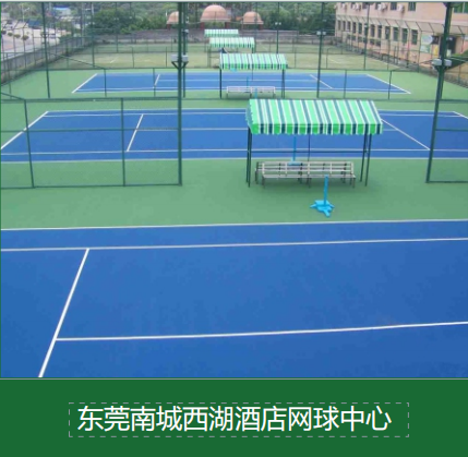 专业视角：混合型塑胶跑道应用场景与选购技巧